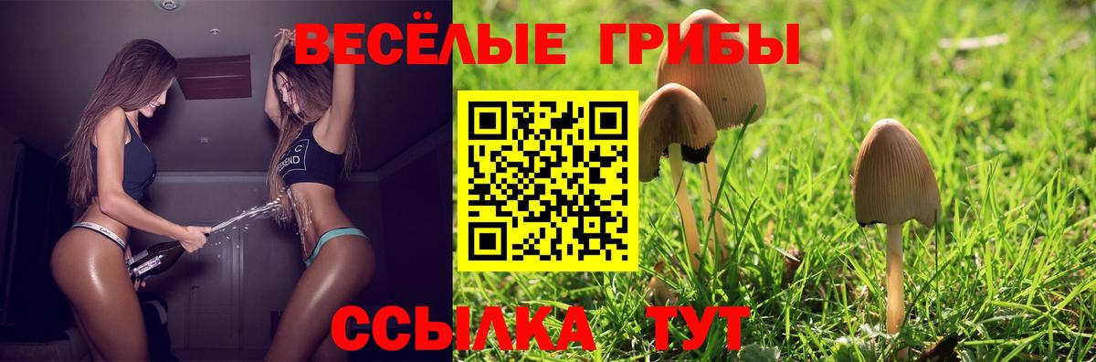 Галлюциногенные грибы MAGIC MUSHROOMS Котлас